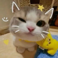 t/g