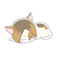 Kozume Kenma(dạng mèo)