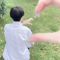 Xyv