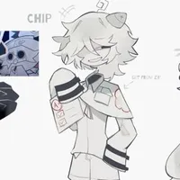 Chip