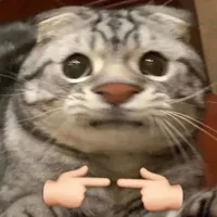 T/G là toi