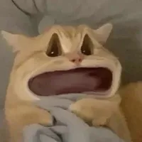 mn có mặt/-ai éo biết