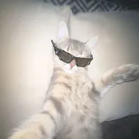 tác giả xinh zai vicieo