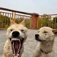 t/g trùm sai chính tả