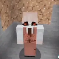 H1h1