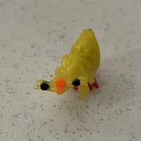 Hệ thống 005