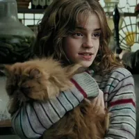 Hermione granger 📚