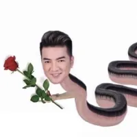 nhân vật phụ