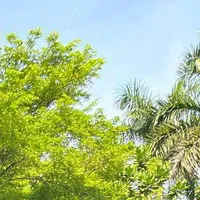nhân vật phụ