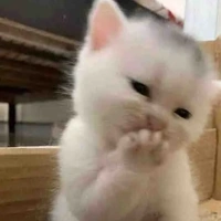 tác giả đẹp giai