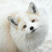 @Noha_sayo