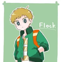 Flock
