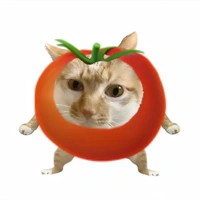 t/g
