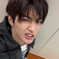 Ahn Geonho