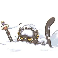 cat law ♡