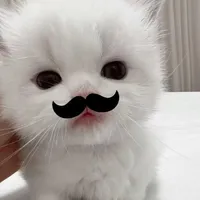 Tu tuu