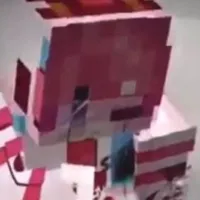 hiha robot