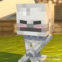 tác giả xàm