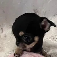 Người đồng tính chất 🤘🏻_jg