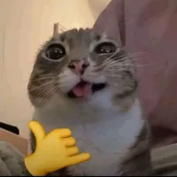 Còn lụy người cũ 😭_wlm
