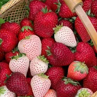 🍓