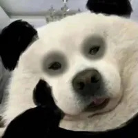 nguyên đám