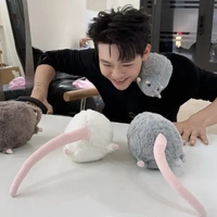 Chuột/hẹ thống của Thịnh