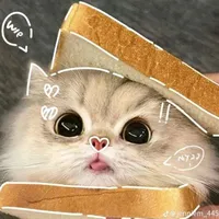 tác giả cute
