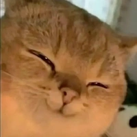t/g tẻn tẻn