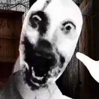 thk điên