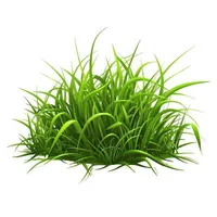 bụi cỏ