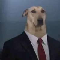dog tổng tài???