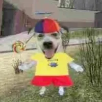 silly dog :⁠0