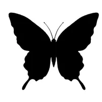 mọi người có mặt