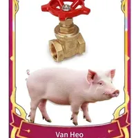 mọi người(-ai thì-)