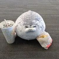 tác giả là con Seal