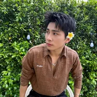 Le Hong Son