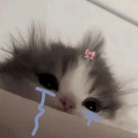 Tg cutie hơi le nhe