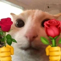 gv npc đủ loại