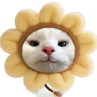tác giả vô tri