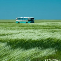 CLB cờ vua @co_vua_ba_co_nao