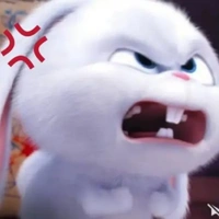 Bán Báo Giấy