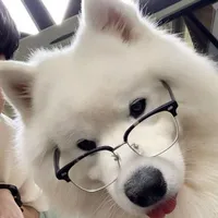 cả lớp (trừ ai thì trừ)