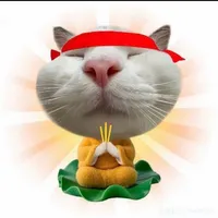 Al