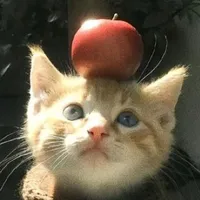 ɪʀᴜ ᴅᴀɴɢ ʏᴇᴜ