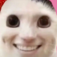t/g