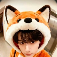 Đinh Đinh 🦊