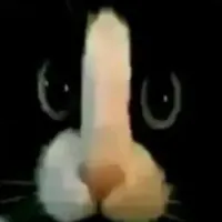 Chíp Chíp