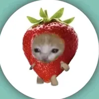 meow meow
