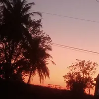 Tni